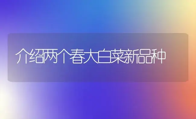 介绍两个春大白菜新品种 | 植物百科