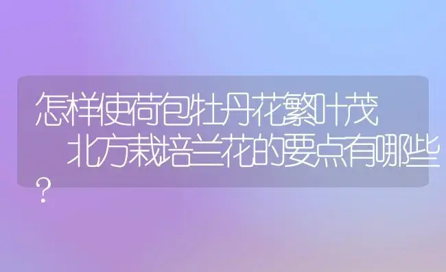 怎样使荷包牡丹花繁叶茂  北方栽培兰花的要点有哪些? | 植物科普