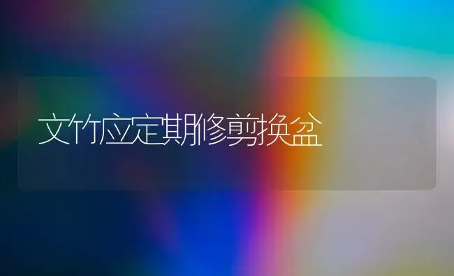 无公害韭菜收割及割后管理 | 植物科普