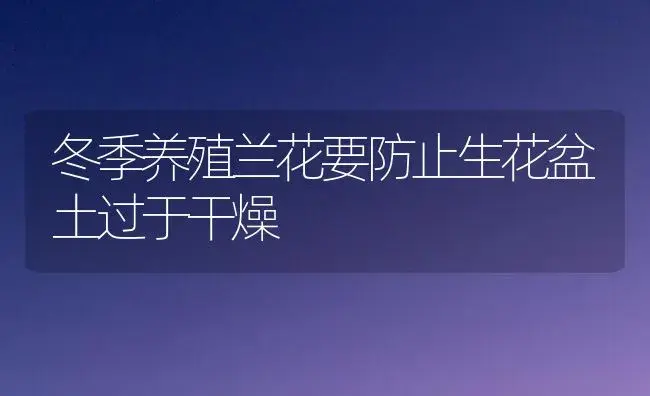 冬季养殖兰花要防止生花盆土过于干燥 | 植物知识