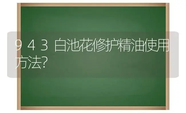 943白池花修护精油使用方法？ | 植物问答