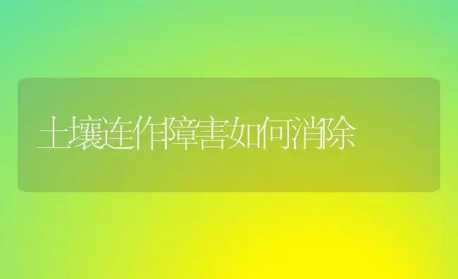 土壤连作障害如何消除 | 植物科普