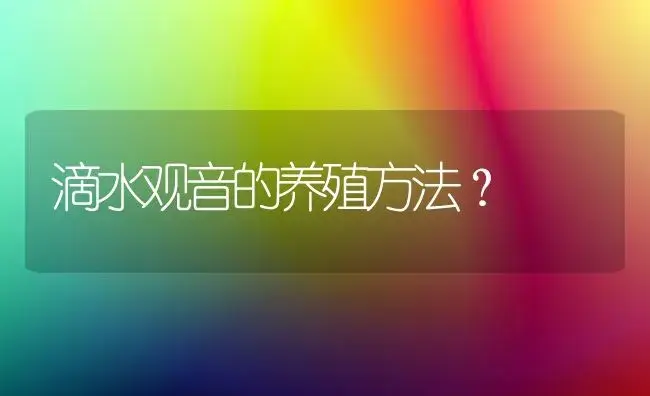 滴水观音的养殖方法？ | 植物问答