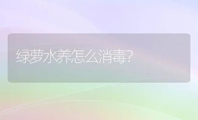 绿萝水养怎么消毒？ | 植物问答