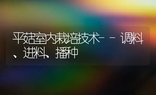 平菇室内栽培技术--调料、进料、播种 | 植物科普