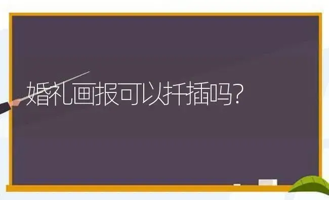 婚礼画报可以扦插吗？ | 植物问答