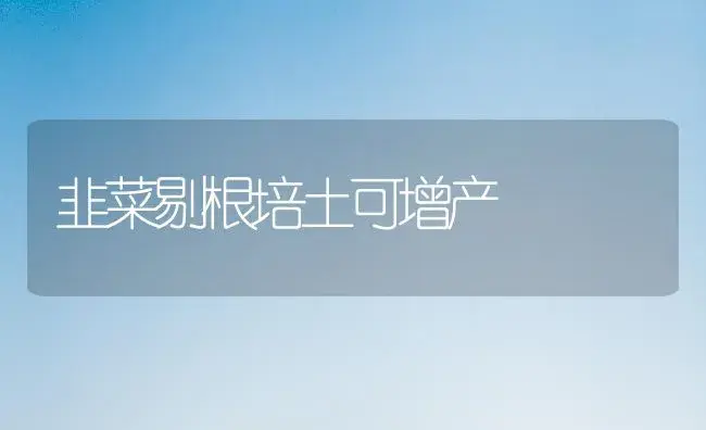生菜高效生产       新技术 | 植物百科