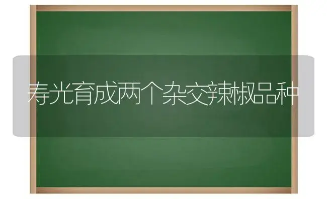 寿光育成两个杂交辣椒品种 | 植物科普