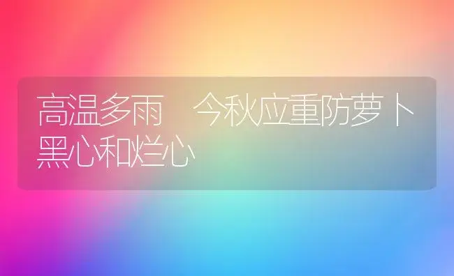 高温多雨 今秋应重防萝卜黑心和烂心 | 植物百科