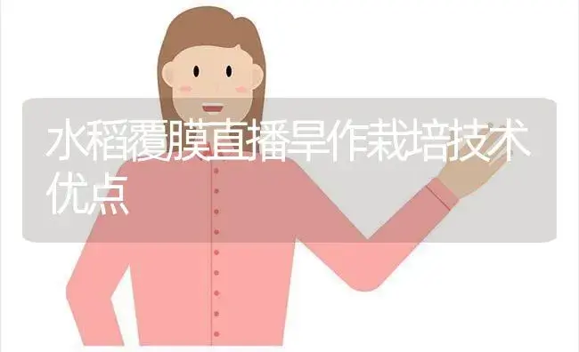 水稻覆膜直播旱作栽培技术优点 | 植物科普