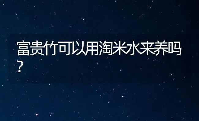 富贵竹可以用淘米水来养吗？ | 植物问答