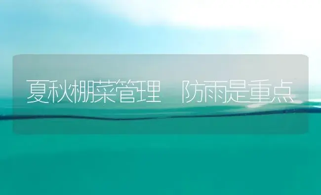 夏秋棚菜管理 防雨是重点 | 植物科普