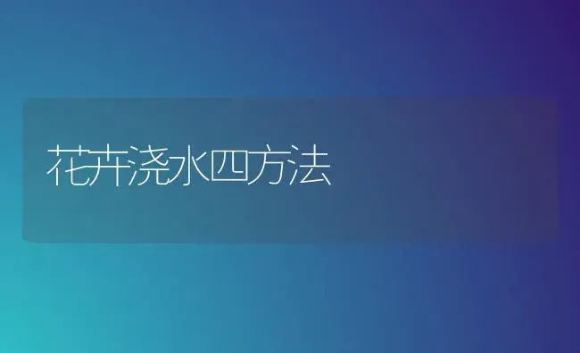 冬养君子兰的五要点 | 植物科普