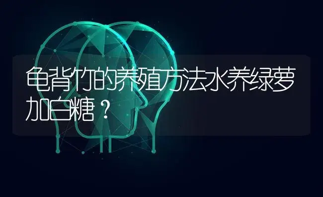 龟背竹的养殖方法水养绿萝加白糖？ | 植物问答