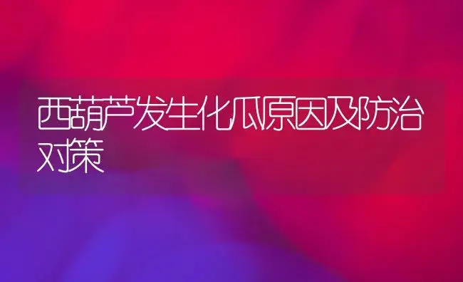 西葫芦发生化瓜原因及防治对策 | 植物百科
