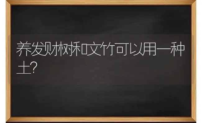 养发财树和文竹可以用一种土？ | 植物问答