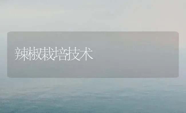 辣椒栽培技术 | 植物科普
