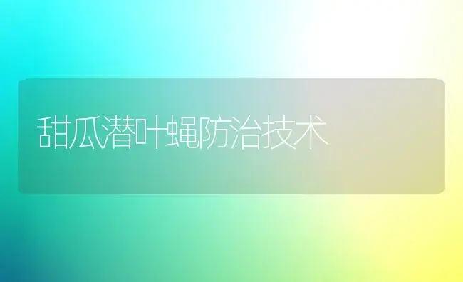 甜瓜潜叶蝇防治技术 | 植物百科