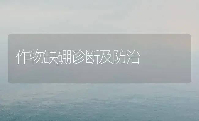 作物缺硼诊断及防治 | 植物科普