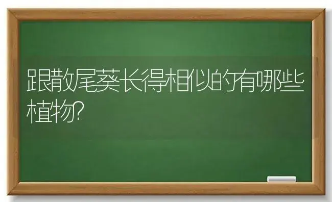 跟散尾葵长得相似的有哪些植物？ | 植物问答