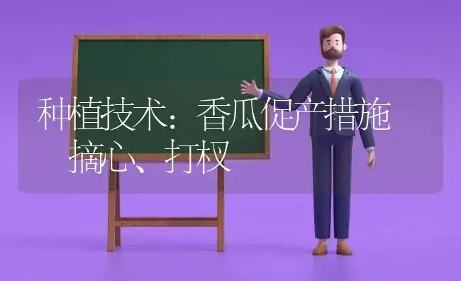 种植技术：香瓜促产措施――摘心、打杈 | 植物科普