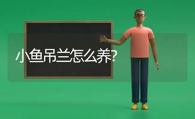 小鱼吊兰怎么养？ | 植物问答