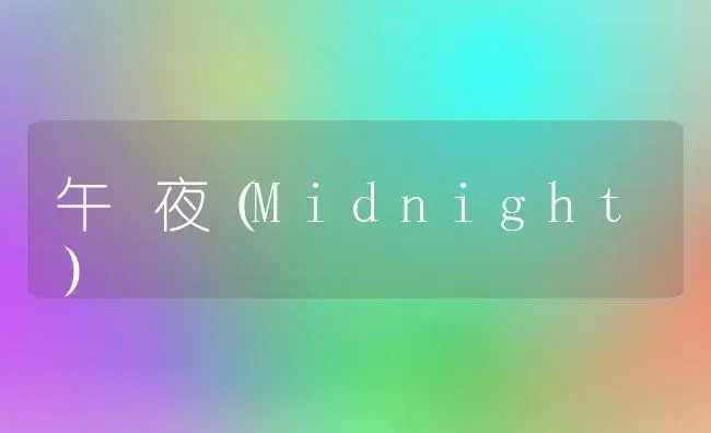 午 夜（Midnight） | 植物知识