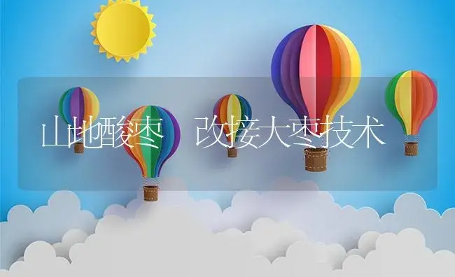 山地酸枣　改接大枣技术 | 植物资料