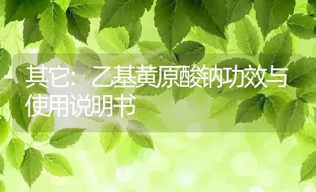 其它：乙基黄原酸钠 | 适用防治对象及农作物使用方法说明书 | 植物资料