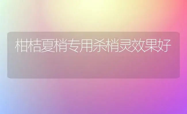 柑桔夏梢专用杀梢灵效果好 | 植物科普