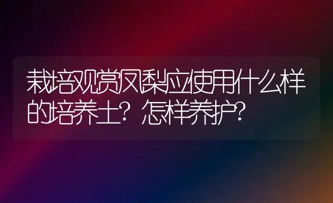 栽培观赏凤梨应使用什么样的培养土?怎样养护? | 植物科普