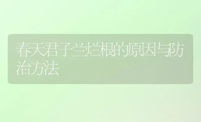 春天君子兰烂根的原因与防治方法 | 植物知识