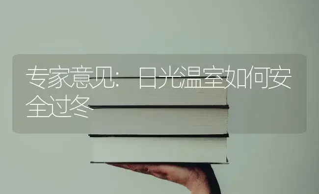 专家意见:日光温室如何安全过冬 | 植物科普
