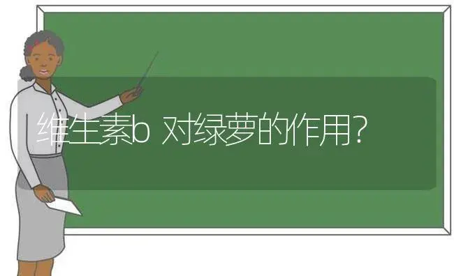 维生素b对绿萝的作用？ | 植物问答