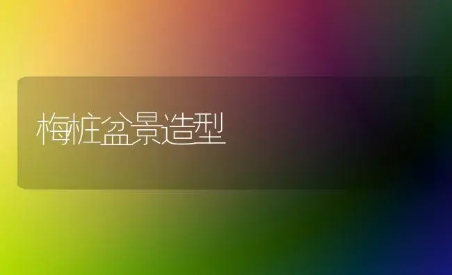 早春种地豆角效益高 | 植物科普