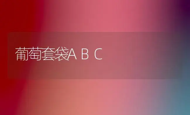 葡萄套袋ABC | 植物科普