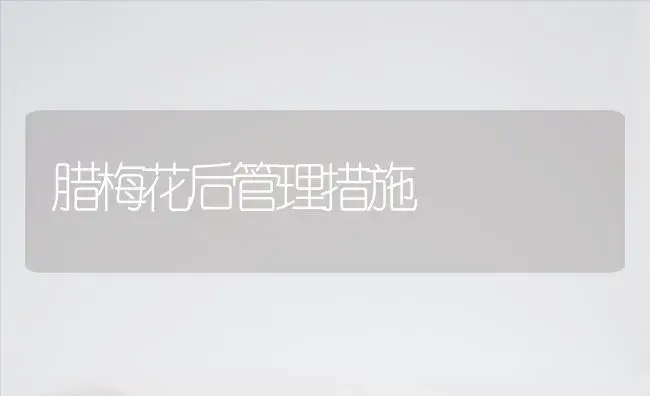 腊梅花后管理措施 | 植物知识
