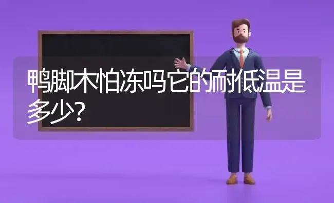 鸭脚木怕冻吗它的耐低温是多少？ | 植物问答