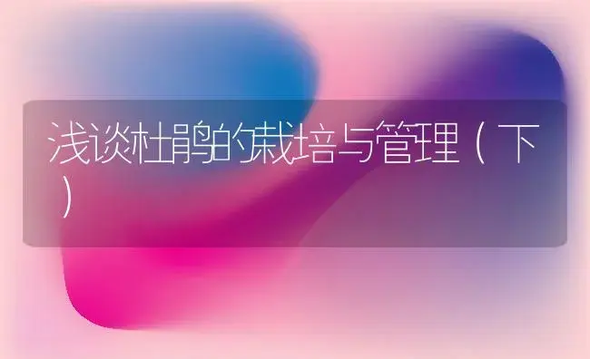 浅谈杜鹃的栽培与管理（下） | 植物知识