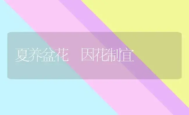 夏养盆花 因花制宜 | 植物知识