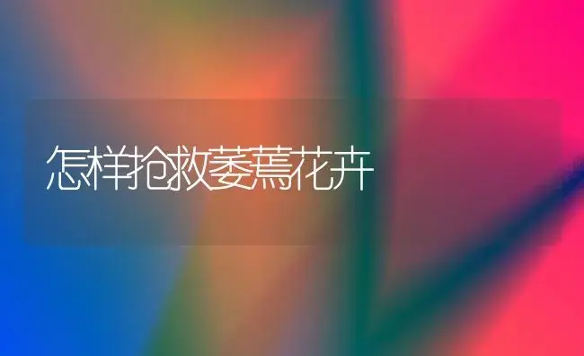 几种蚕蛹食品的加工技术 | 植物知识