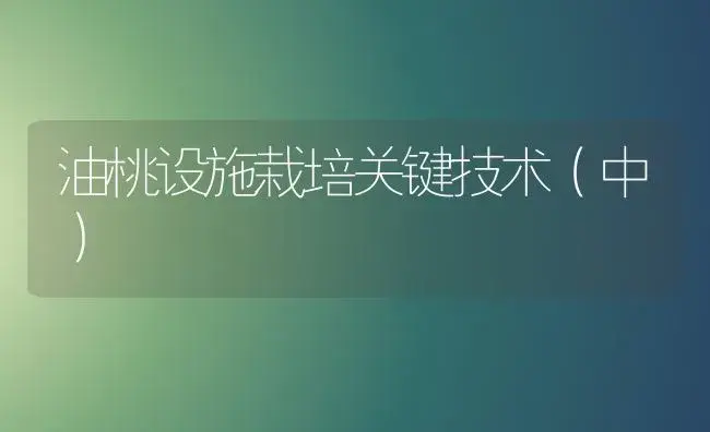 晚棱脐橙 | 植物科普