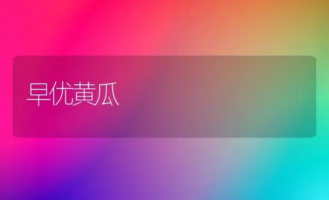 籽用南瓜田间管理技术要点 | 植物科普