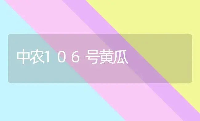 中农106号黄瓜 | 植物科普