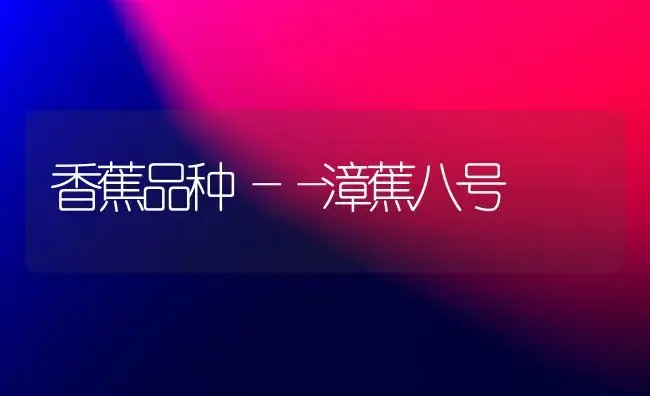 香蕉品种――漳蕉八号 | 植物科普