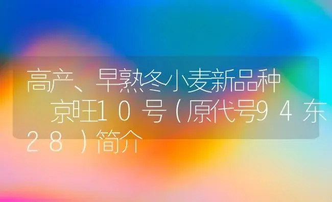 高产、早熟冬小麦新品种――京旺10号（原代号94东28）简介 | 植物科普