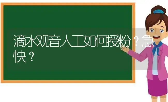 滴水观音人工如何授粉？急快？ | 植物问答