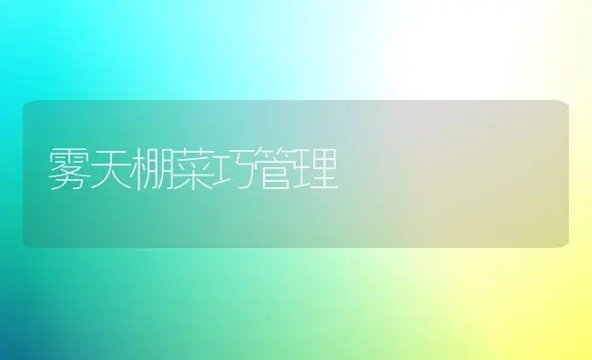 雾天棚菜巧管理 | 植物百科