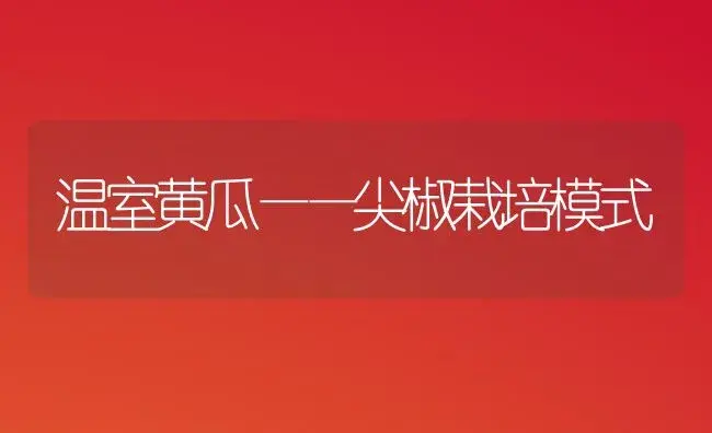 温室黄瓜——尖椒栽培模式 | 植物百科