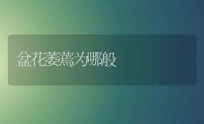 盆花萎蔫为哪般 | 植物知识